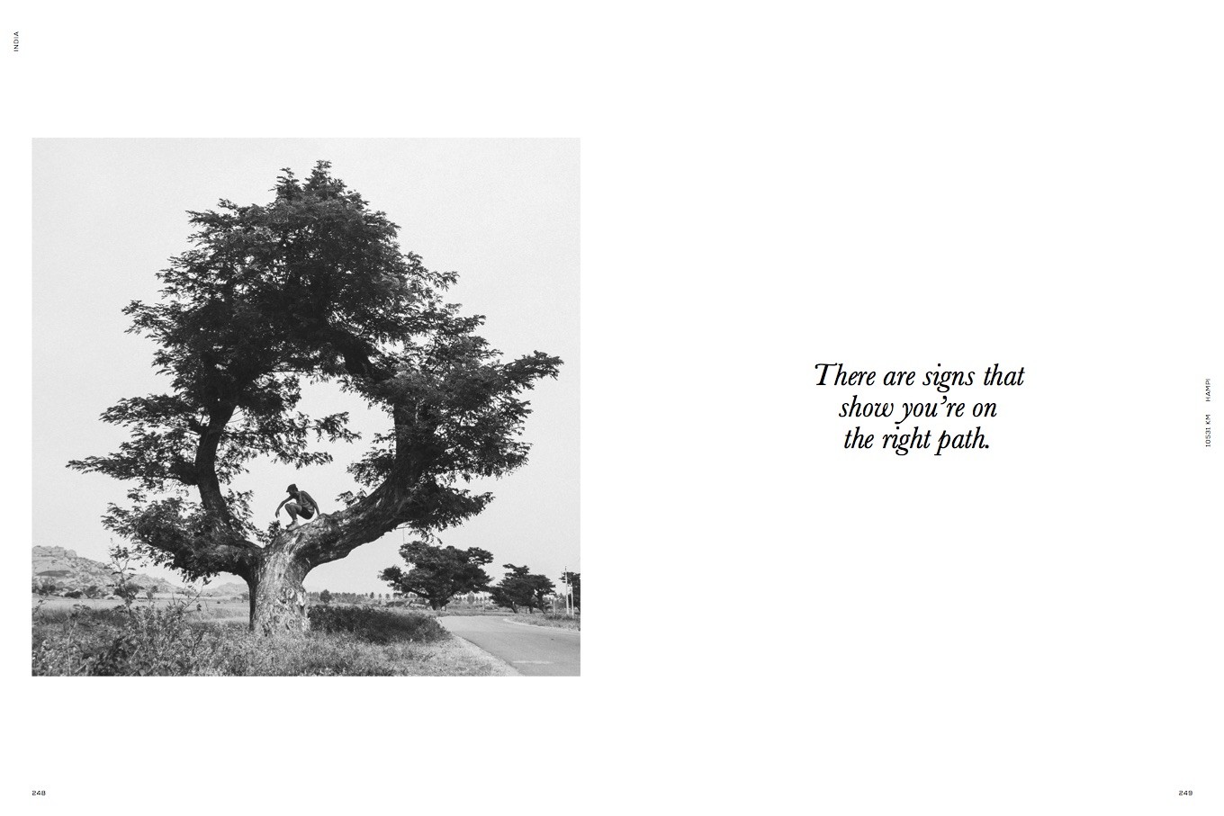 one year on a bike book