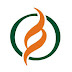 Job Opportunity at Management Sciences for Health (MSH), Director of Finance & Operations