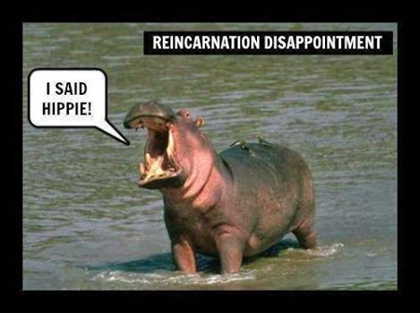 Reincarnation gone wrong !!