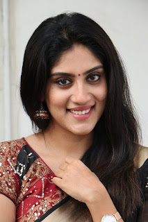 Dhanya Balakrishna Stills at Software Sudheer Success Meet Dhanya Balakrishna Stills at Software Sudheer Success Meet
