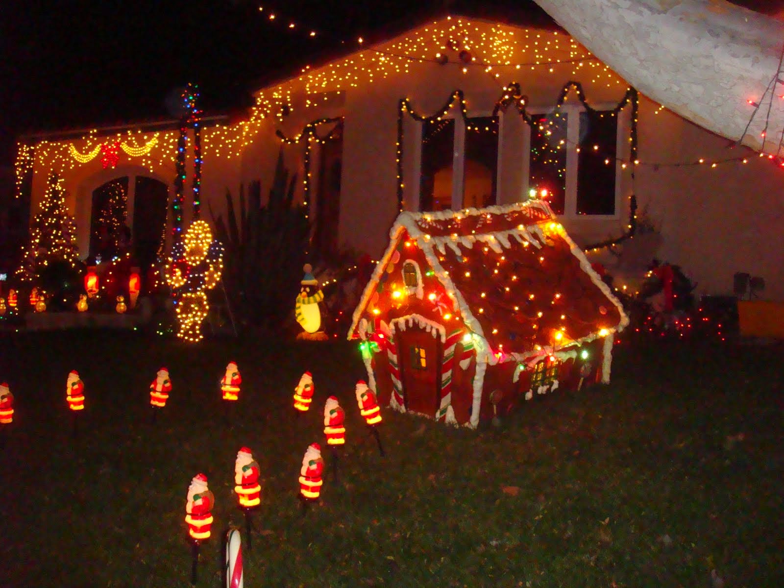 miyu-s-life-christmas-lane