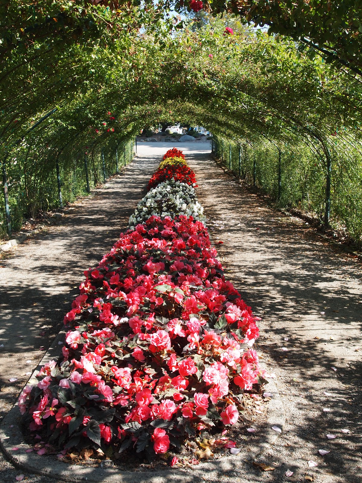 Journey Authentic: Point Defiance Park Visit