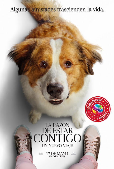 razon%2Bestar%2Bcontigo%2Bnuevo%2Bviaje