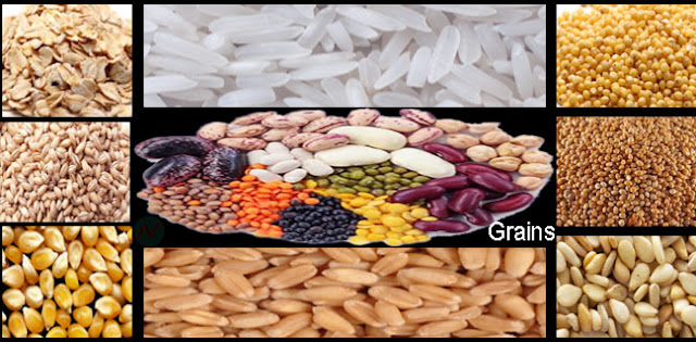 Grain / Cereal Crops Names Meaning & Pictures | Necessary Vocabulary