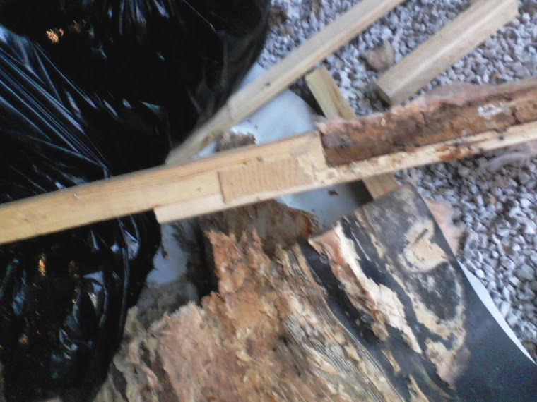 new wood attached to rotted wood