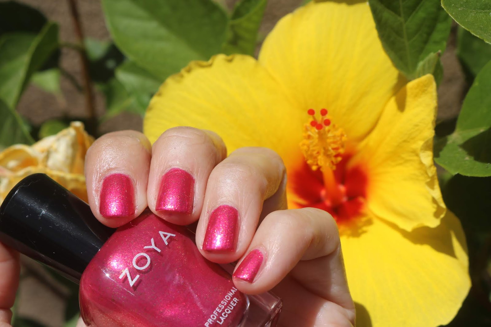 Zoya Robbie