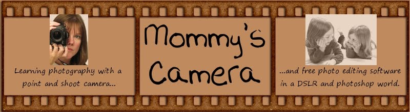 Mommy's Camera