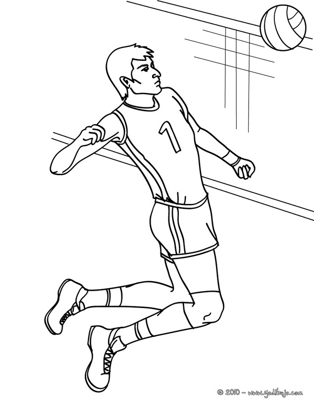 EL HOMBRE Y SUS CAPACIDADES FISICAS VOLEIBOL EL HOMBRE Y SUS CAPACIDADES FISICAS VOLEIBOL