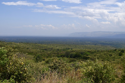 Semliki Wildlife Reserve and Rift Valley Escarpment, Fort Portal-Bundibugyo Road