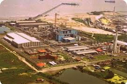 PT Freeport Indonesia Pilih Bangun Smelter di Gresik daripada di Timika