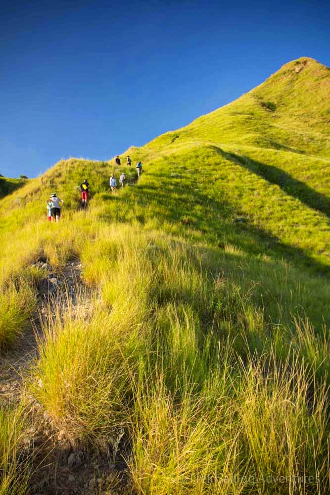 10 Places You Shouldn't Miss in Indonesia | Komodo National Park SeaTrek Sailing Adventures 10 Places You Shouldn't Miss in Indonesia | Komodo National Park SeaTrek Sailing Adventures
