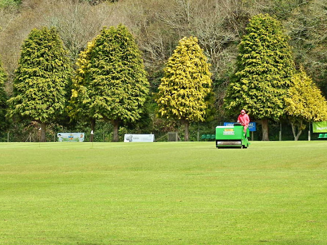 Rolling the cricket pitch, Truro, Cornwall