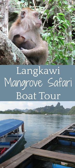 langkawi mangrove safari boat tour