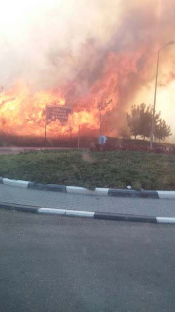 Kebakaran hebat landa Israel