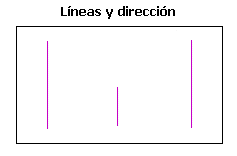 ¿Cuál es la línea de dirección?