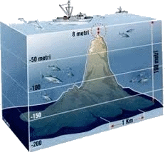pretendida isla volcánica. Viernes volcánico.
