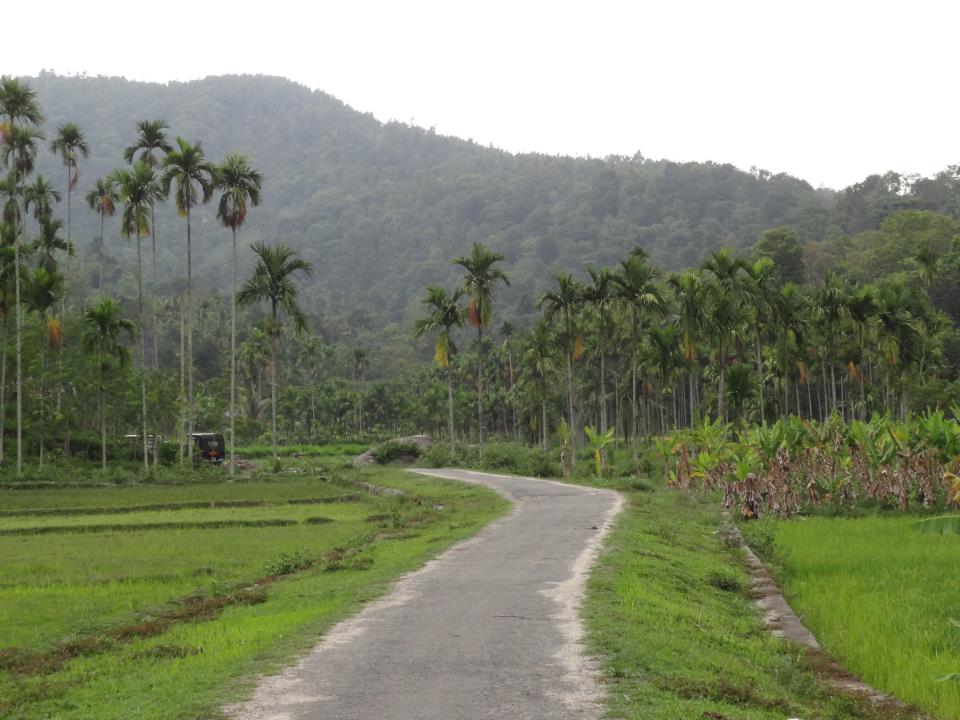 Beautiful road in Wayanad, Kerala