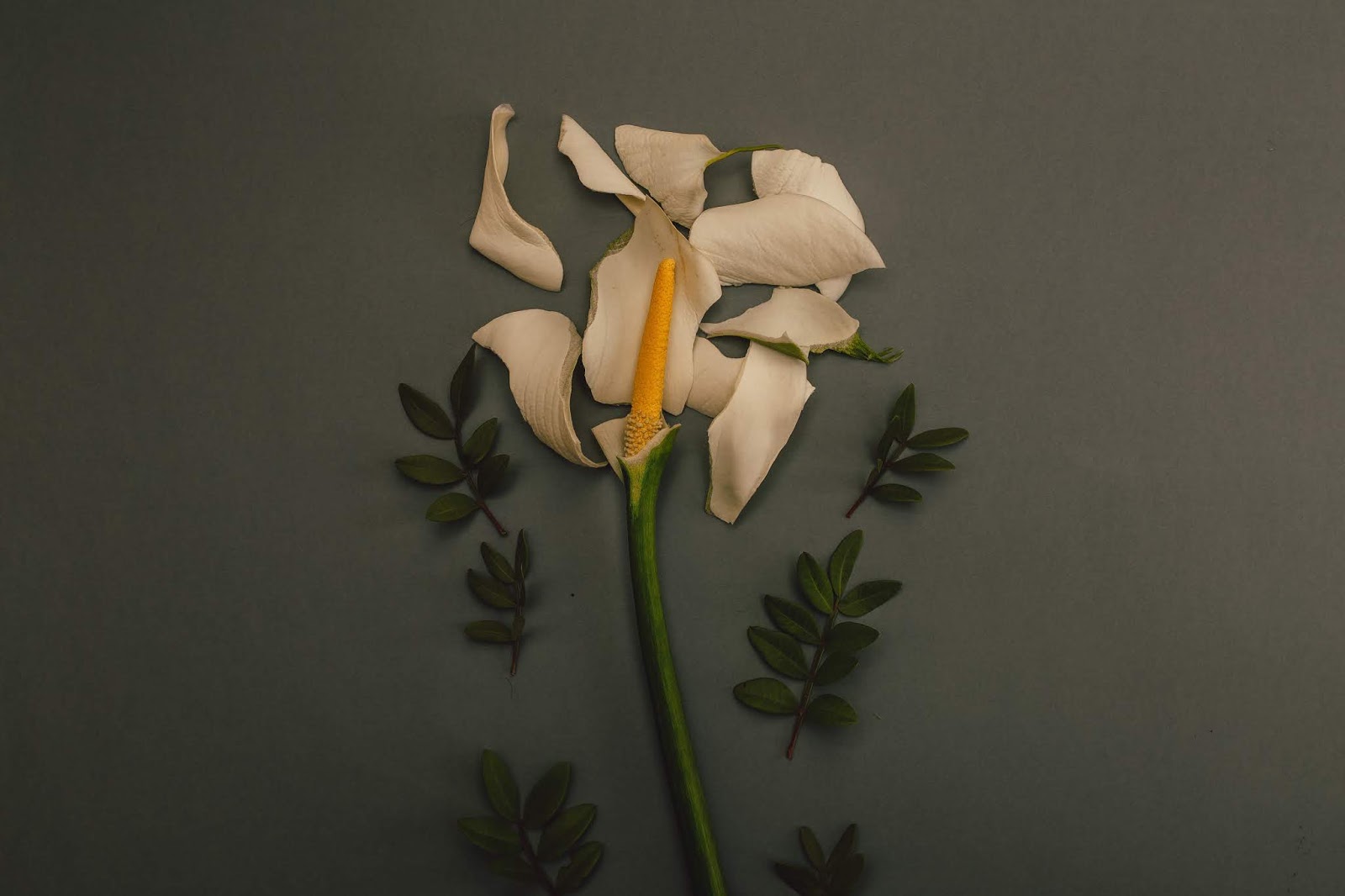 A DEPRESSÃO NÃO É UM ROMANTISMO. A DEPRESSÃO NÃO É UM ROMANTISMO.