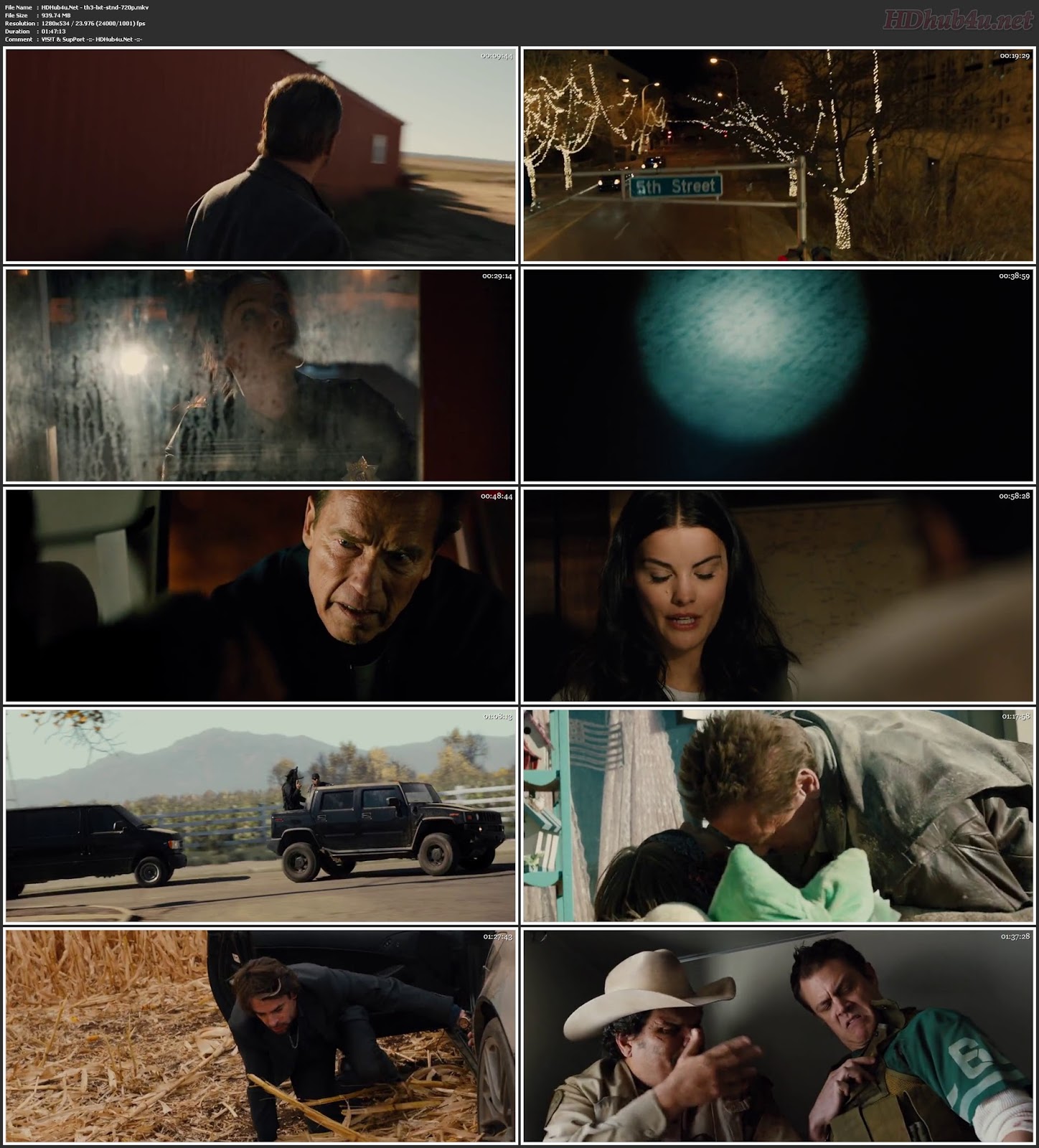 The Last Stand 2013 300MB Hindi Dual Audio 480p BluRay Esubs Download