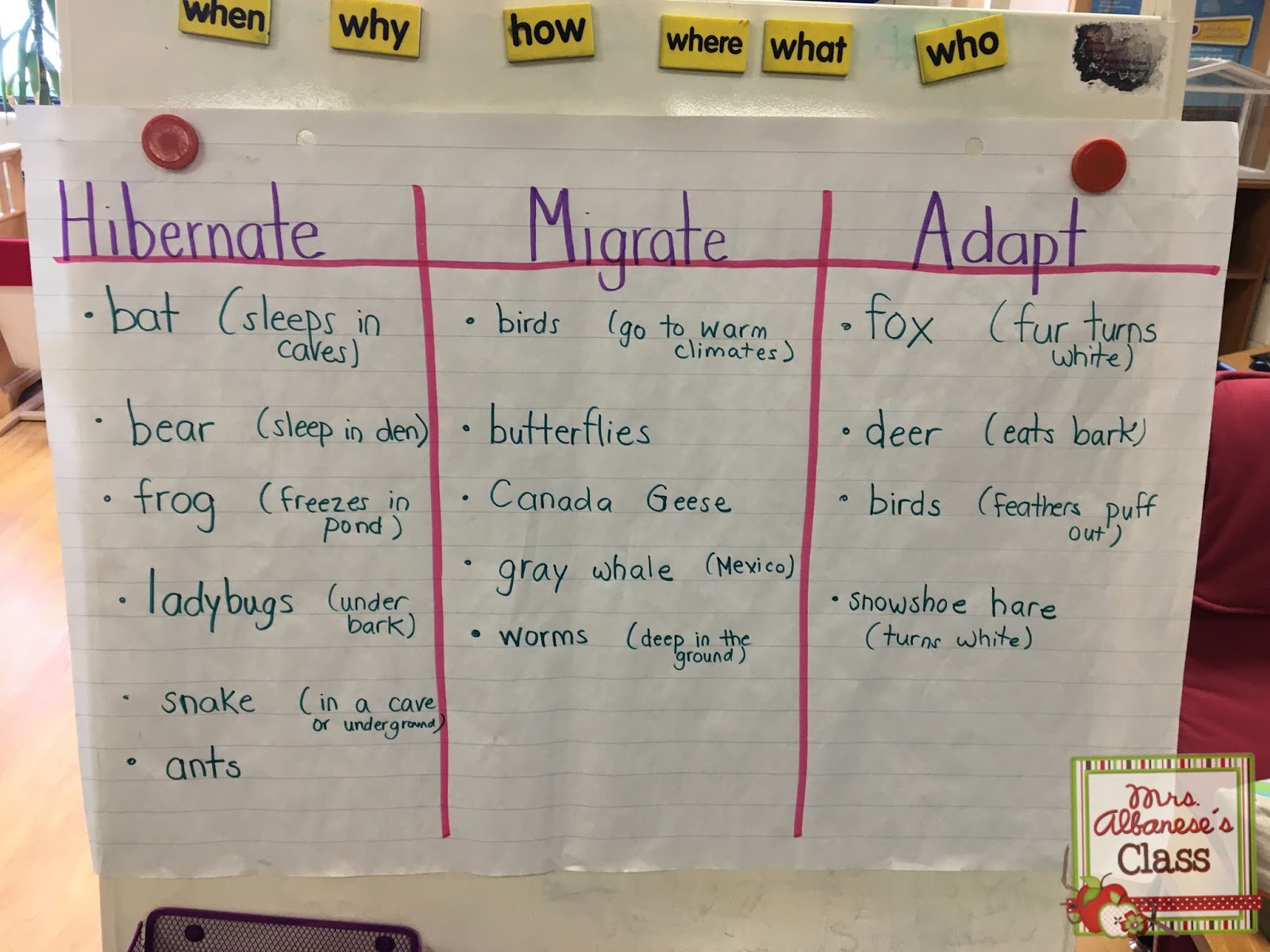 Animals in Winter Inquiry | Mrs. Albanese's Kindergarten Class