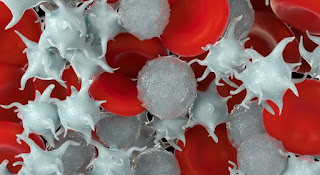 Why red has become white? Why red has become white?