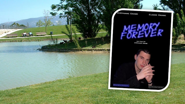 Memory Forever de Stphane Grare