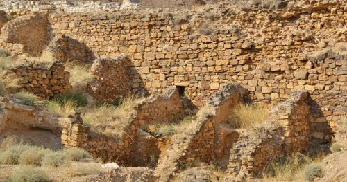 Amigos de Avgvsta Bilbilis