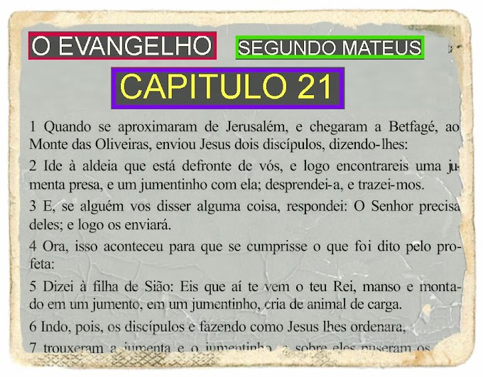 O EVANGELHO SEGUNDO MATEUS CAPITULO 21