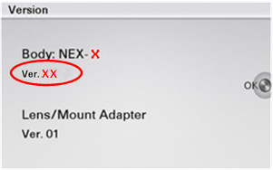 nex-5n firmware update 1.01 version