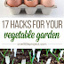 Make eggshell seedling pots to sprout your garden for less