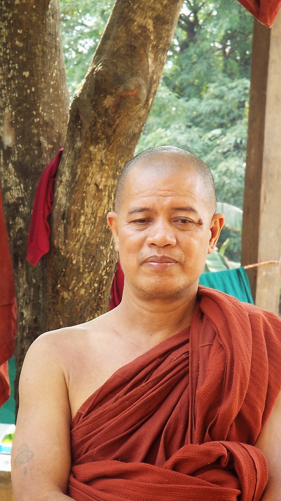 Webu Sayadaw - Alchetron, The Free Social Encyclopedia