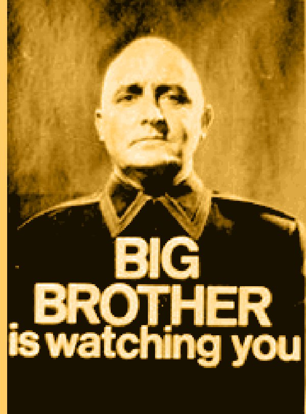 1984 essays on big brother