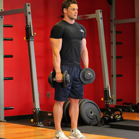 Stiff-Legged Dumbbell Deadlift Stiff-Legged Dumbbell Deadlift