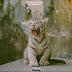 Tory Lanez x Trey Songz - Wild Thoughts (Remix)