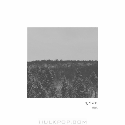 NIDA – 잊혀지다 – Single