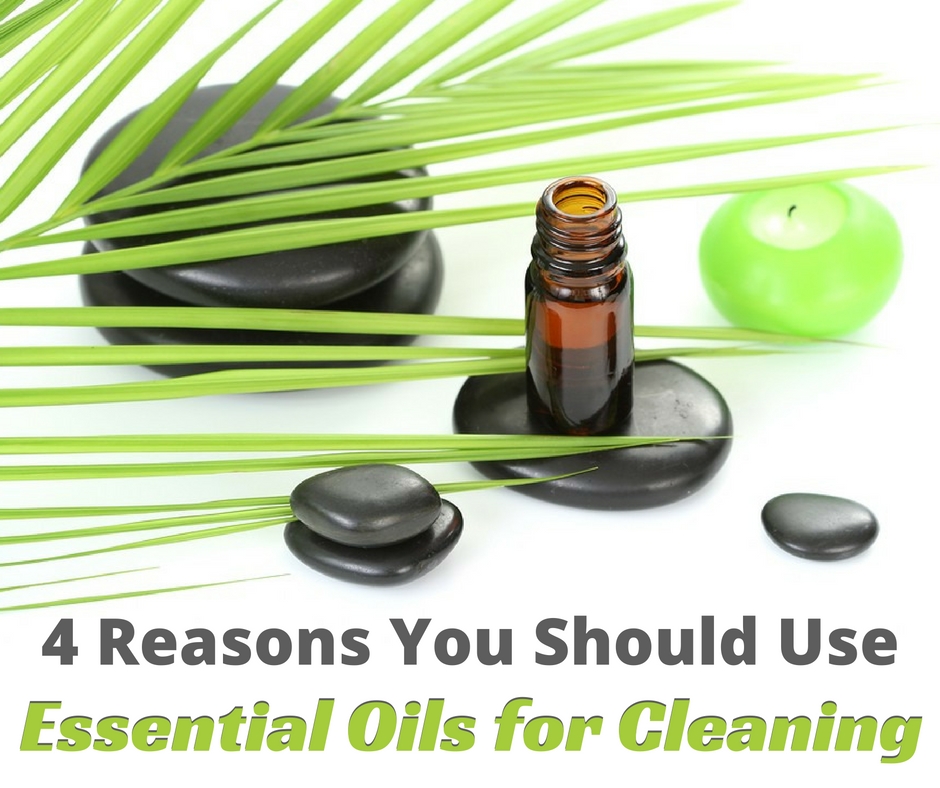 Commercial cleaners can't compare to essential oils for cleaning. Here are 4 reasons you should be using essential oils to clean your home. essential oils