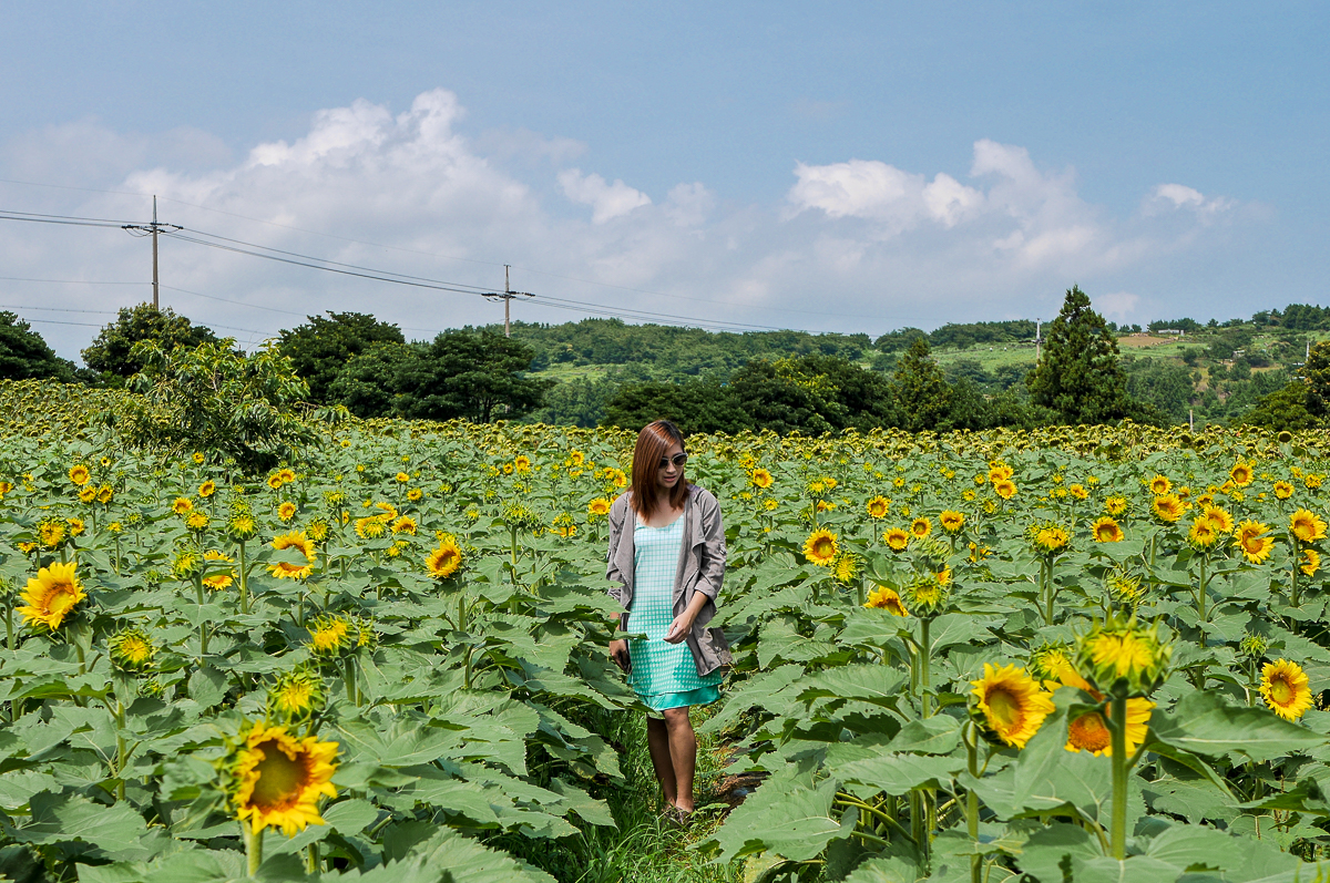 Kimkyungsuk Sunflower field jeju korea sunflower field jeju korea ootd fashion summer outfit travel