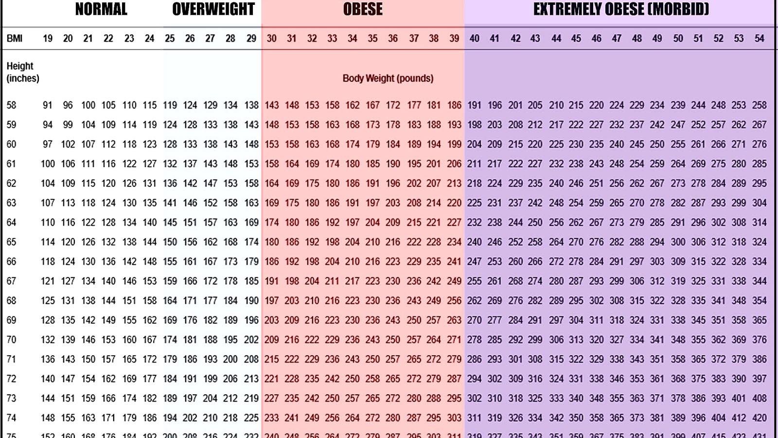 Body Mass Index Chart For Child