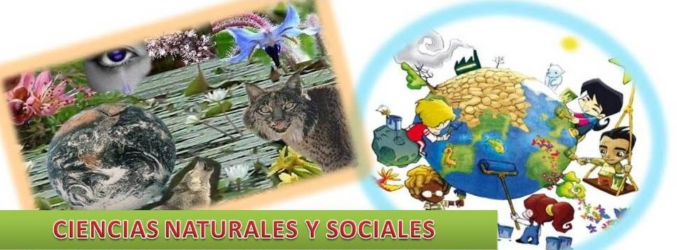 BAÚL DE NATURALES Y SOCIALES