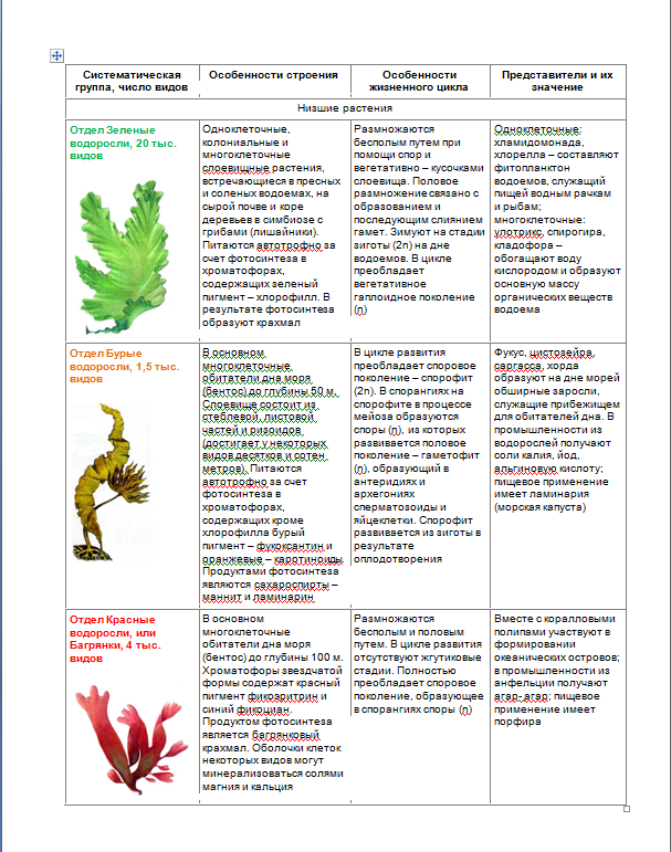 Характеристика классов водорослей. Отделы водорослей таблица 6 класс биология. Водоросли зеленые бурые красные таблица. Классификация водорослей таблица. Зелёные водоросли представители таблица.