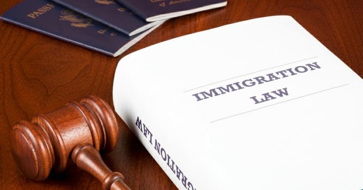 Asylum Immigration Attorney in Washington DC, Maryland, Virginia: 5