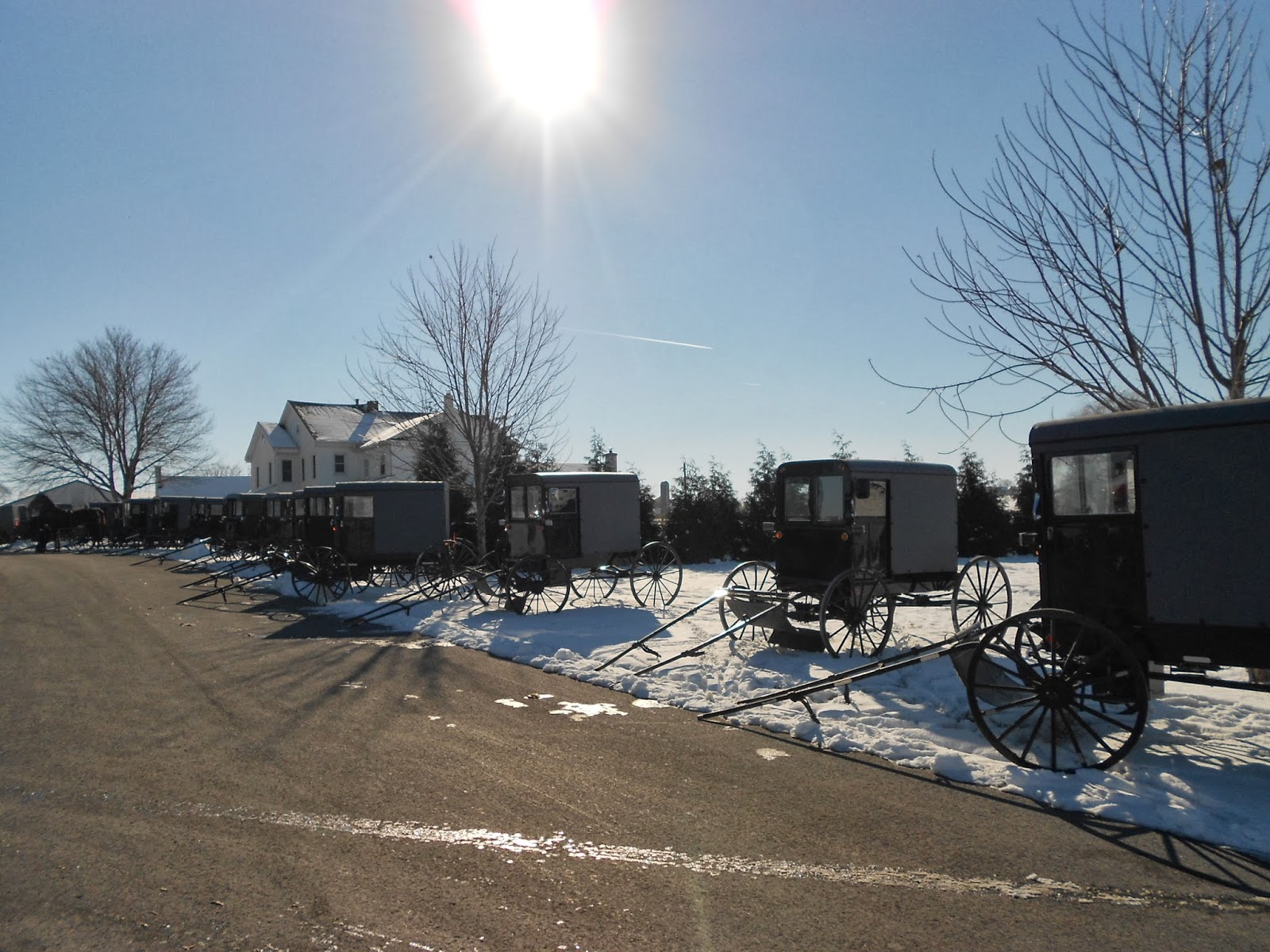 Cold Springs Farm: HISTORY