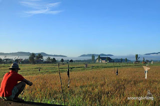 roong tondano minahasa sulawesi utara