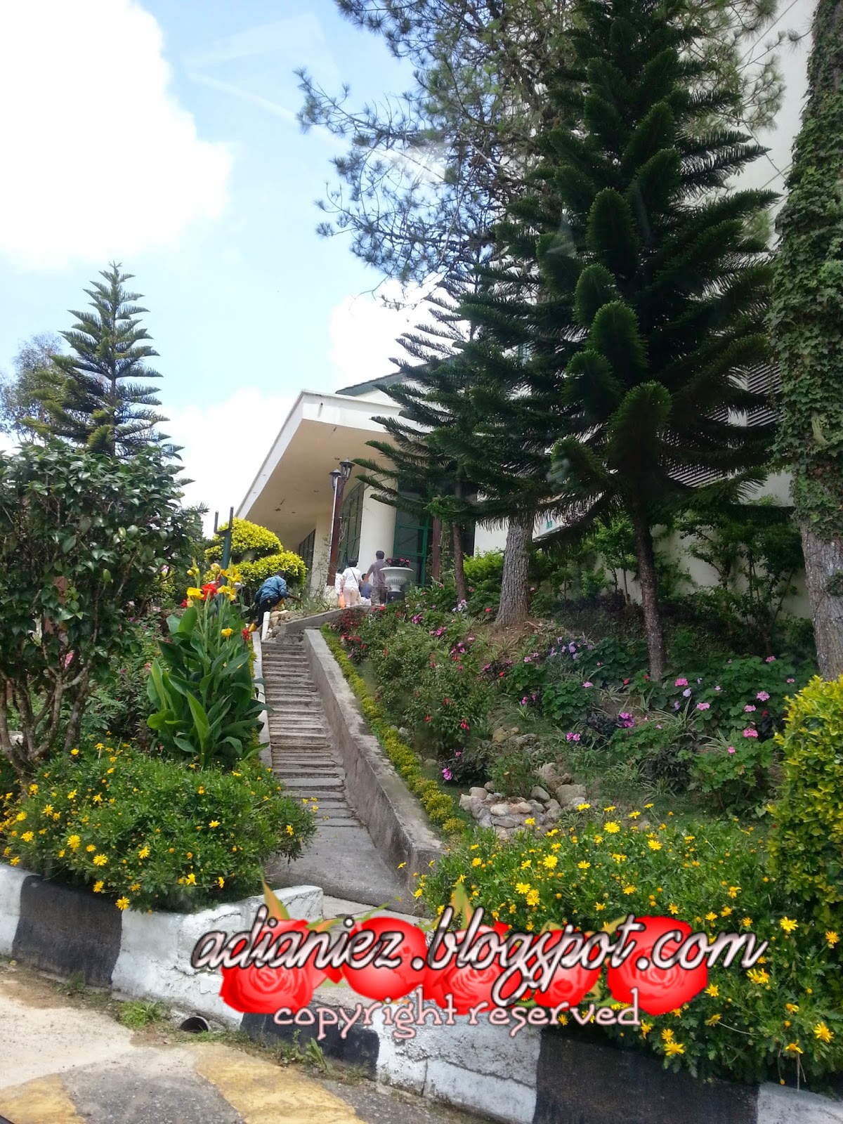 copthorne hotel cameron highlands