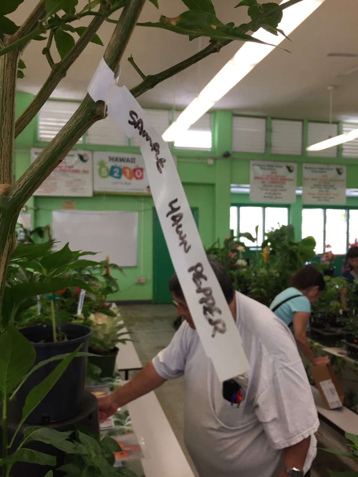 The Succulents and Pottery Compulsion Oahu Nursery Growers Association