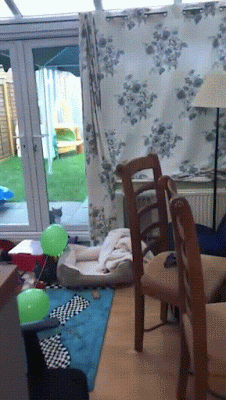 ESf3wRW%2B-%2BImgur.gif