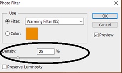Photo Filter Photo Filter