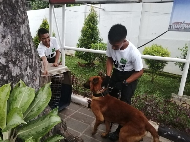 anjing hendropriyono anjing hendropriyono
