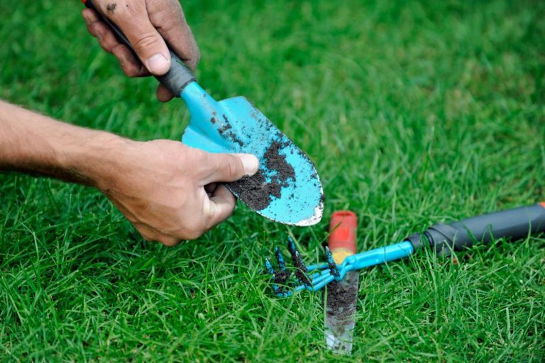 गार्डन टूल्स और गार्डन टूल्स के प्रकार Gardening in Hindi