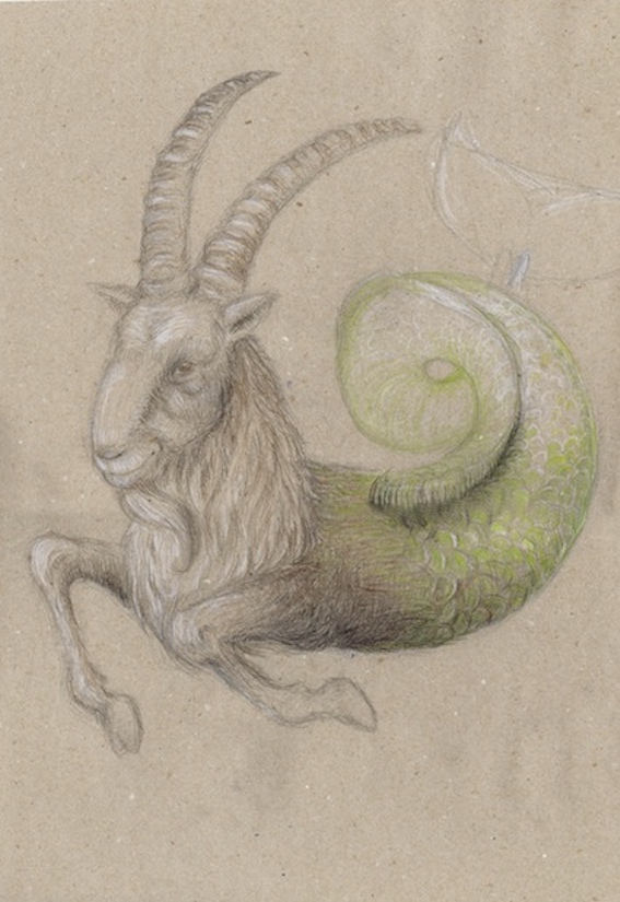 capricornus, Steinbock, Sternzeichen, Zodiac